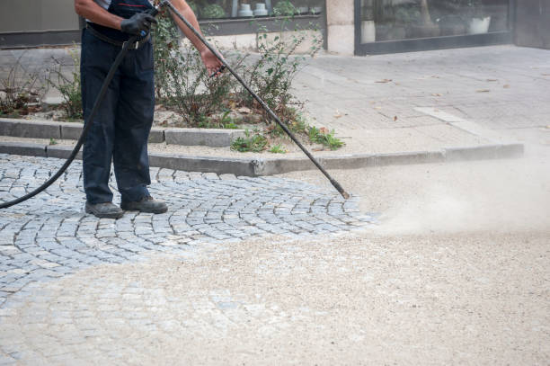 Animal Enclosure Cleaning in Mount Pleasant, PA